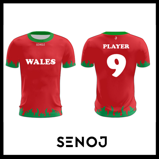 Wales Concept Jersey